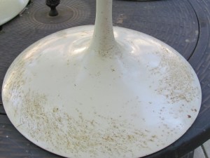 Worst offender before photo